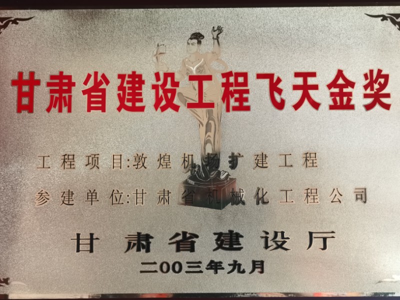 甘肃省建设工程飞天金奖（2003年）